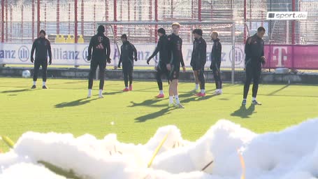 Olmo-Hammer? Das sagen die Fans des FC Bayern