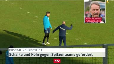 Neururer: Dann kann Schalke sofort für die 2. Liga planen