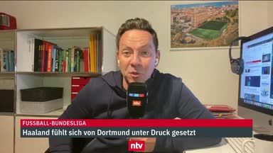 "Clever von Haaland": Experte zum BVB-Poker