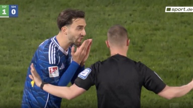 Hier fordern die Schalker Elfmeter