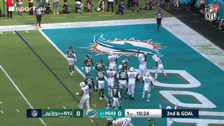 Dolphins powern sich zum ersten TD