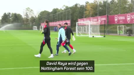 Arteta: "Wurde für Raya-Transfer kritisiert"