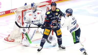 Highlights: Eisbären fertigen Straubing erneut ab