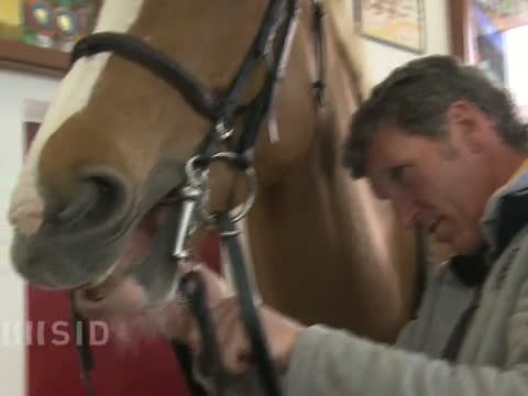 Springreiter Beerbaum verzichtet auf Olympia