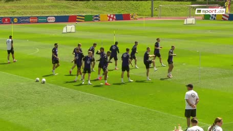 DFB-Elf plagt ein tierisches Problem