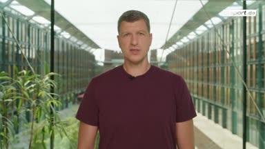 Darum hat Schweden gegen das DBB-Team keine Chance