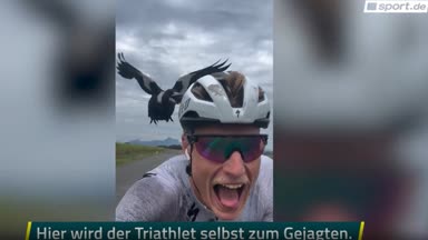 Kräh! Wilder Vogel hackt auf Triathlet ein
