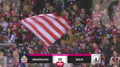 Highlights: Bremerhaven deklassiert die Eisbären