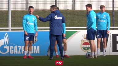 Grammozis hofft auf "Initialzündung" auf Schalke