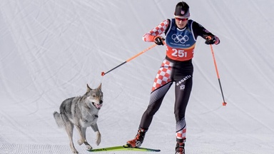 Kuriose Szene bei Olympia! Hund mischt Langlauf auf