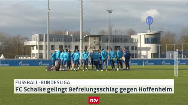 Bei S04 platzt "das Knötchen" - FCB hat ein Kopfproblem