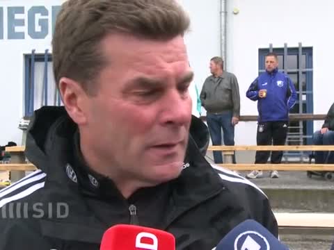 Diego und Co. als Malermeister: Wölfe helfen Flutopfern