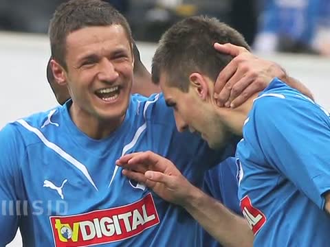 Ibisevic wechselt nach Stuttgart