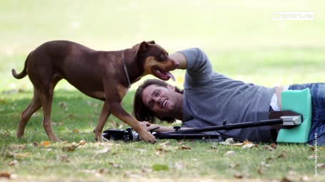 Tom Brady lässt seinen Hund klonen