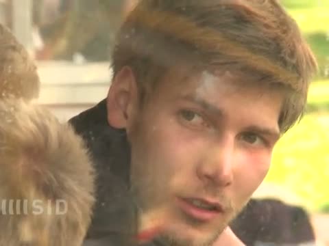 Laut Medienberichten: Schalke verpflichtet Sam und Giefer