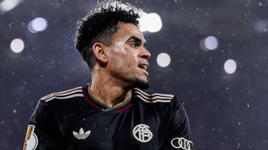 Experte: Bayern hatte echtes Schiri-Glück