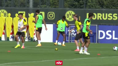 Reus kehrt ins Mannschaftstraining des BVB zurück
