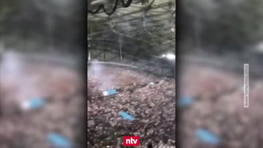 Krawalle überschatten Frankfurt-Sieg