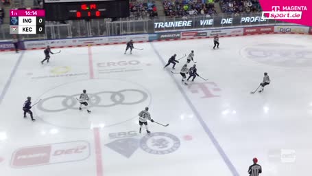 Jedes Tor der historischen Haie-Abreibung